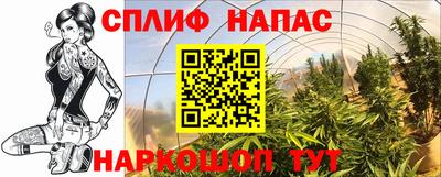 спиды Будённовск