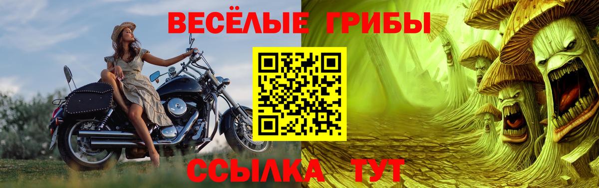 Галлюциногенные грибы ЛСД Светлоград
