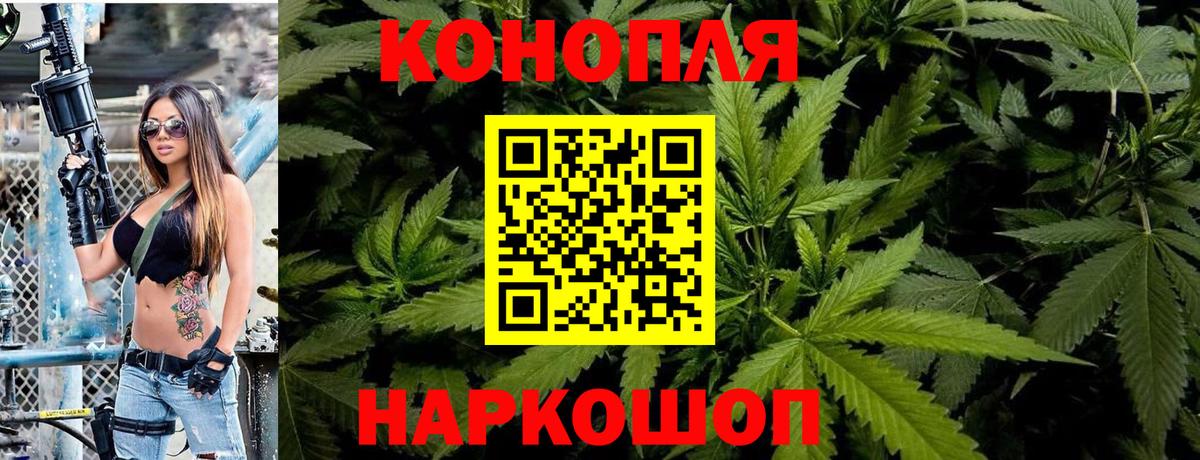 Каннабис план  МАРИХУАНА ГИДРОПОН  Вход с VPN  Бошки Шишки планчик  Светлоград 